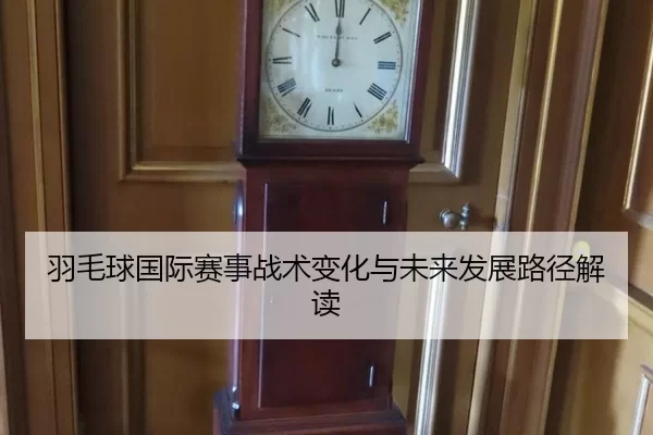 羽毛球国际赛事战术变化与未来发展路径解读